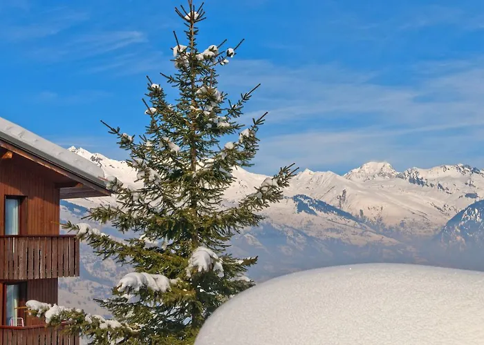 Semesterpark Vvf La Plagne Montchavin Paradiski